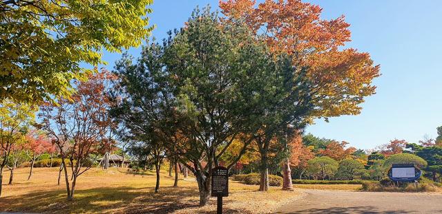 Daejeon Hanbat Arboretum